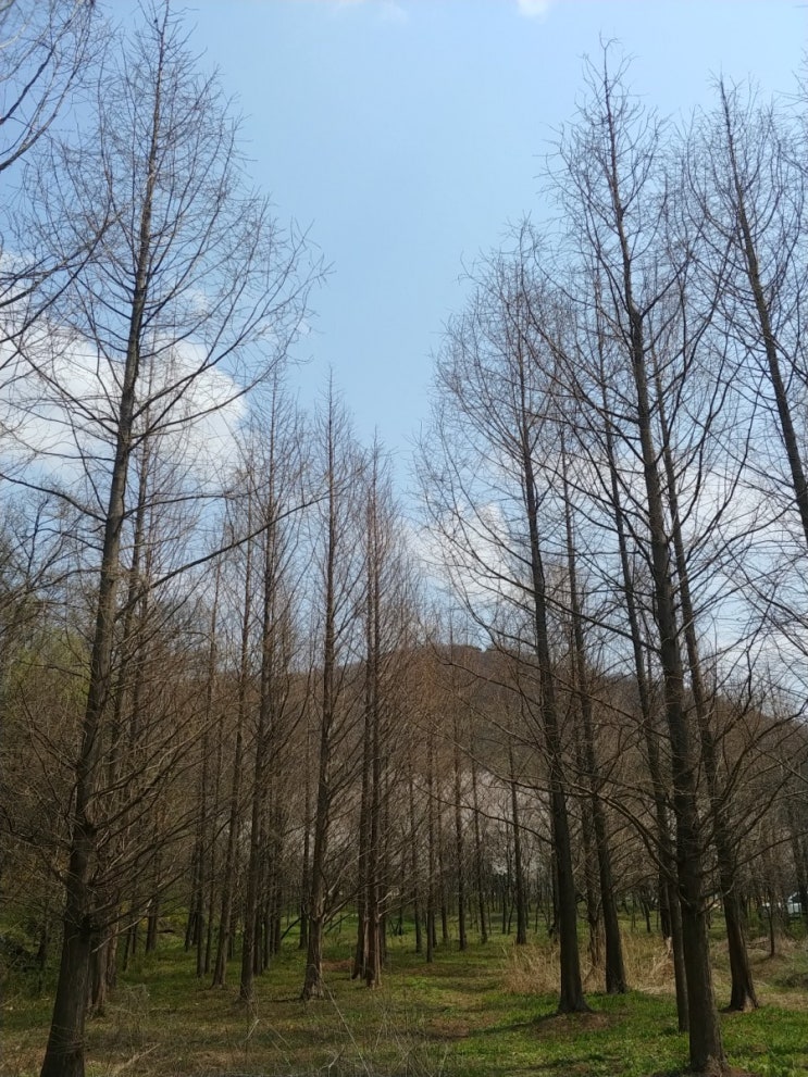  [일상] 광명시 '구름산' 등산하기 & 장어구이 먹기