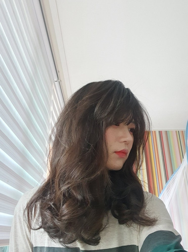  곱슬머리 스타일링 다이슨 에어랩으로 햇어요
