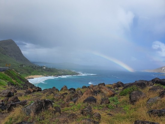 [신혼여행] 기록용 신혼여행 포스팅. Hawaii / 마이리얼트립 하와이 오아후섬 1일 투어