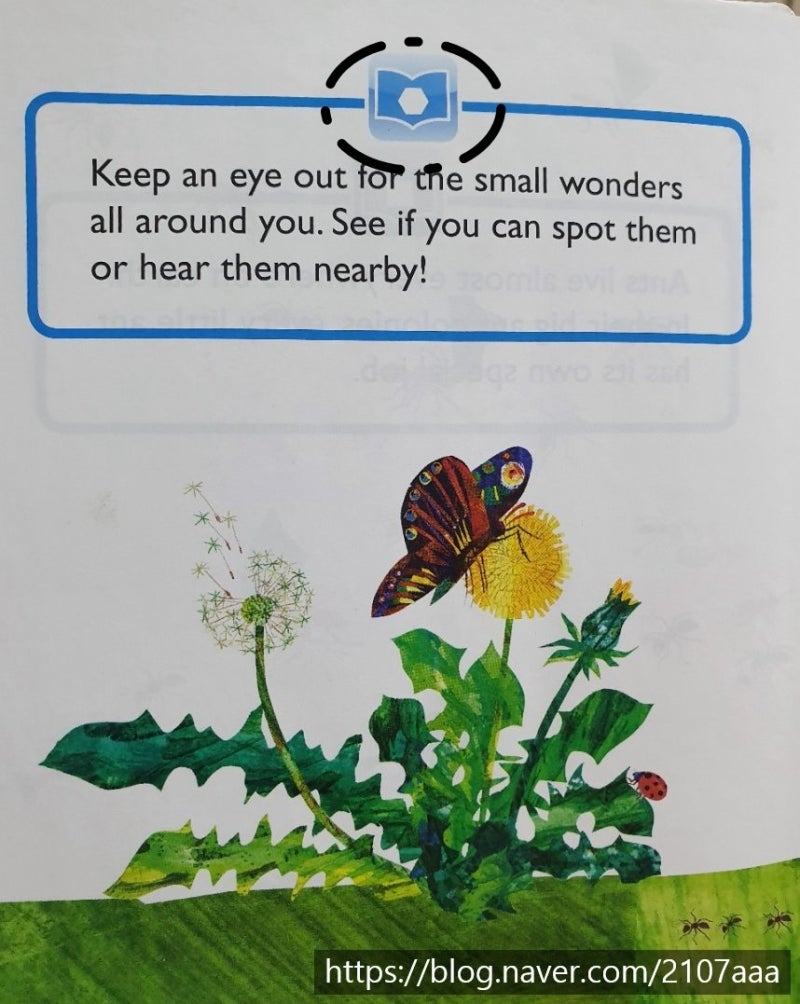 에릭칼 영어 사운드북으로 우리 아기 첫영어 시작 : 네이버 블로그, image size:800x1004