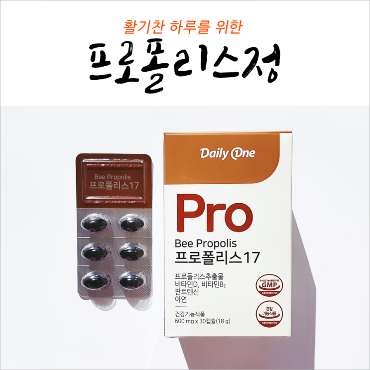  프로폴리스정 활기찬 하루