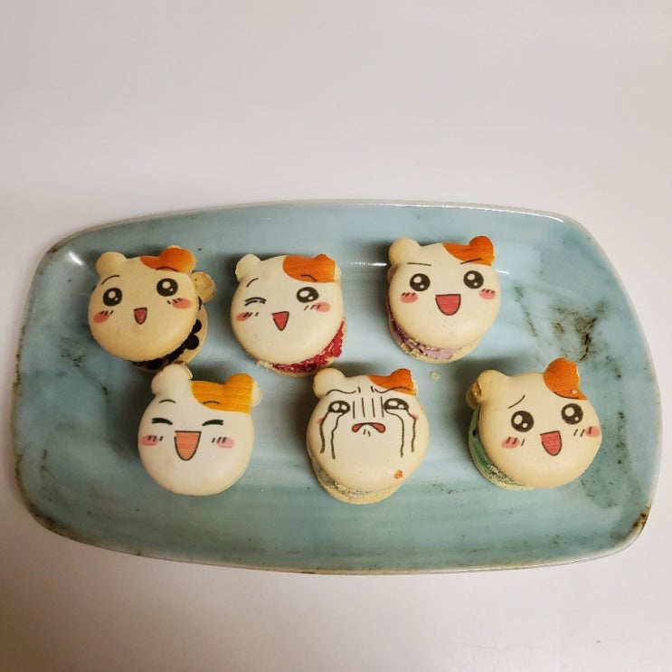  에비츄 마카롱