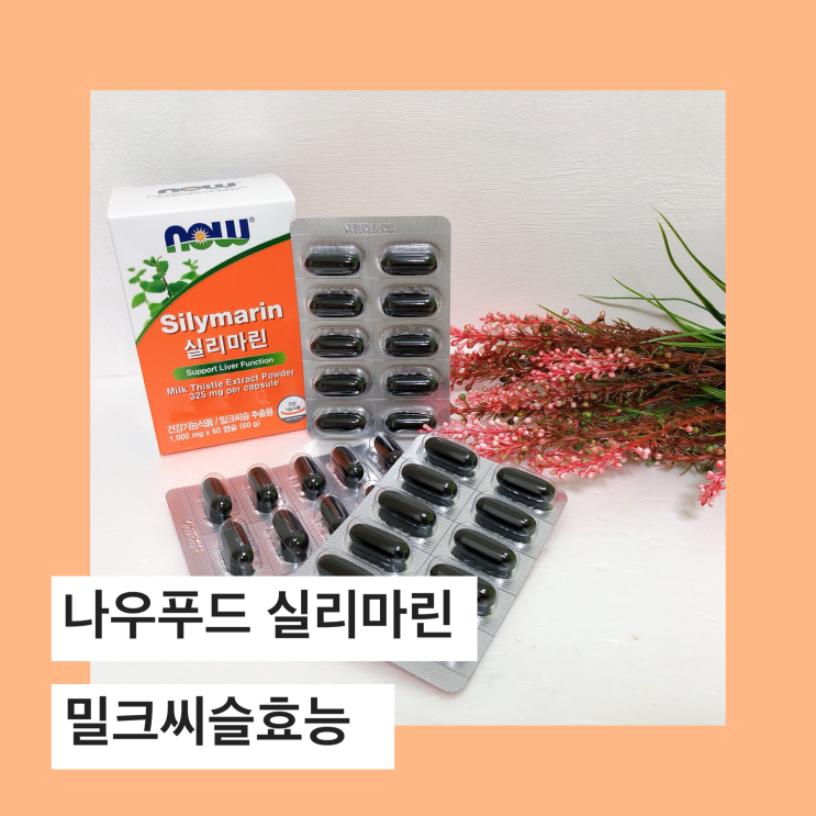  나우푸드 실리마린, 밀크씨슬 간영양제로 건강 챙기세요~