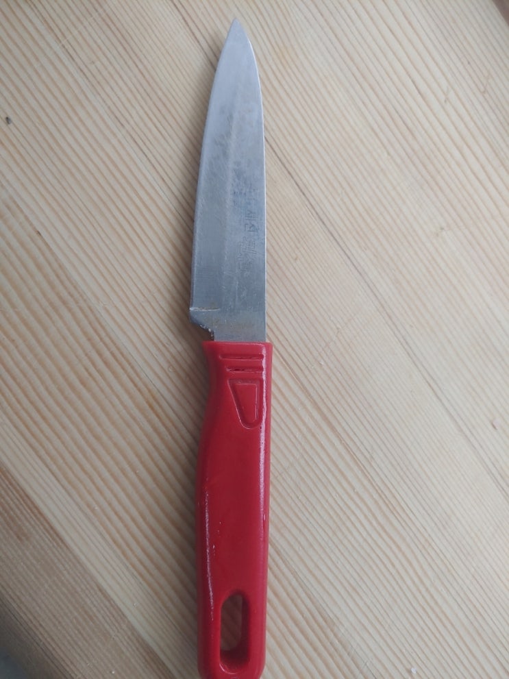  과일칼