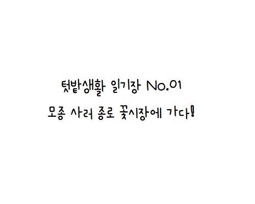  4월 이맘때, 종로꽃시장에 모종 사러 갔다왔어요 :)