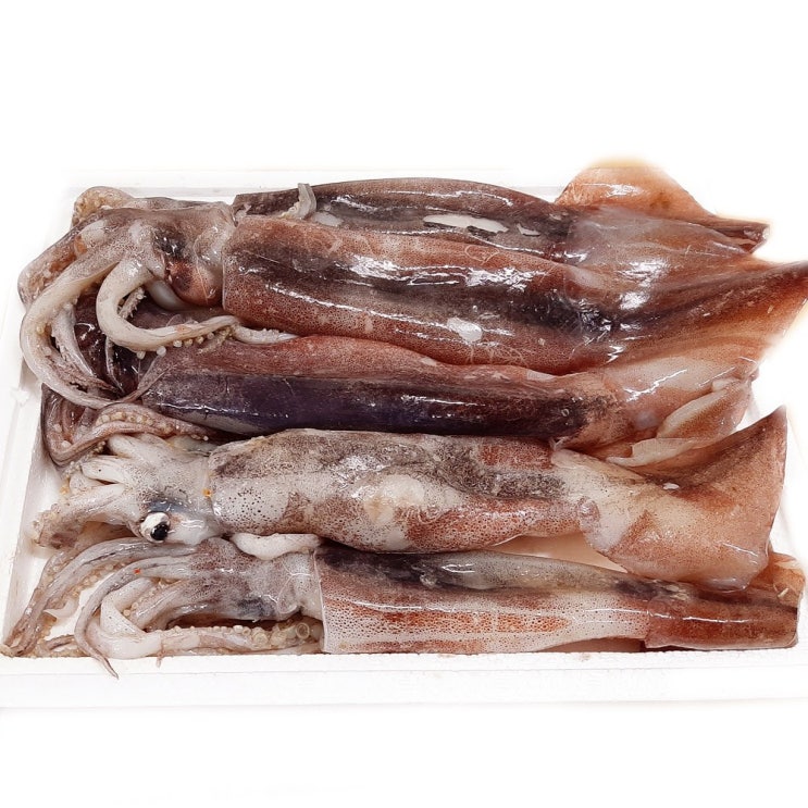  [ 리뷰 포함 ]   [고래푸드] 선상동결 냉동 오징어 1kg(5~7마리), 1box, 1kg