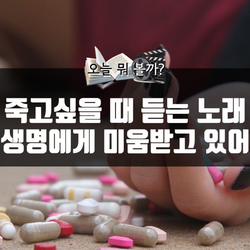 생명에게 미움받고 있어 가사해석 죽고싶을 때 듣는노래 네이버 블로그