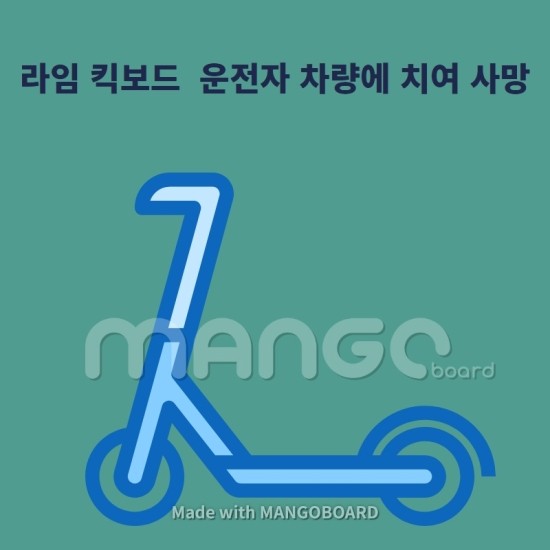  라임 전동 킥보드 운전자 차량이 치여 사망