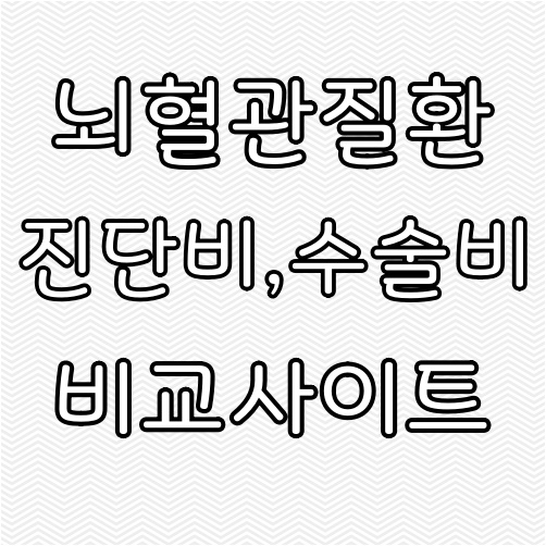  뇌혈관 진단비 수술비 같이 준비해요!