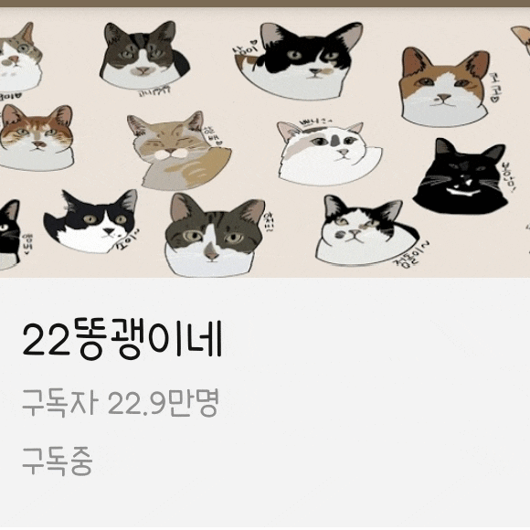  최애 구독 채널 22똥괭이네 차애 매탈남 haha ha 애니멀봐