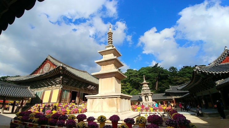  [문화재] 국보 제21호 경주 불국사 삼층석탑