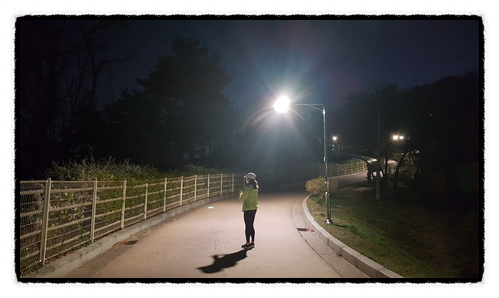  디노인생의 감사일기 8일차 [20.04.12]
