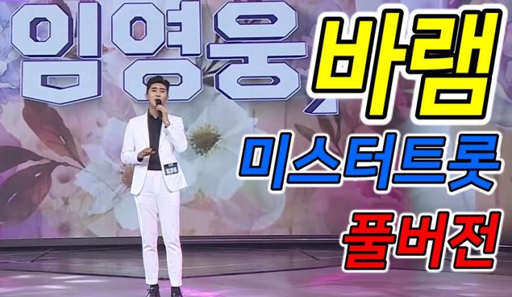  최애 구독 채널