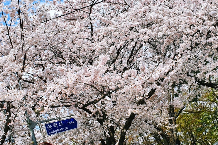  인천 자유공원카페 더프레젠트 분위기있는  더프카페