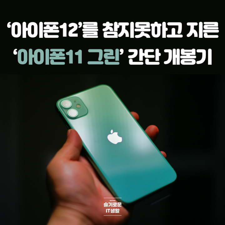  아이폰SE 못참고 지른 아이폰11 그린 간단 개봉기