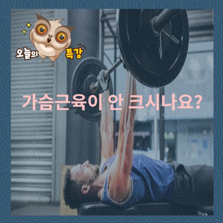  가슴근육이 안 크시나요?