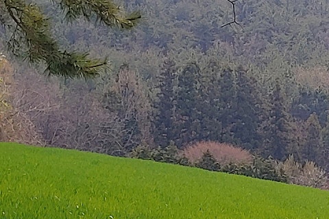 네이버블로그