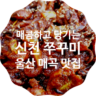 [울산 북구 맛집] 신천 쭈꾸미 : 매콤하고 당기는 쭈꾸미