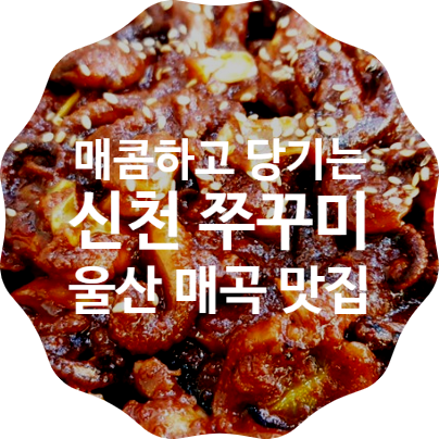  [울산 북구 맛집] 신천 쭈꾸미 : 매콤하고 당기는 쭈꾸미