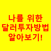  달러투자방법 나의 BEST 상품 찾기 및 주의점