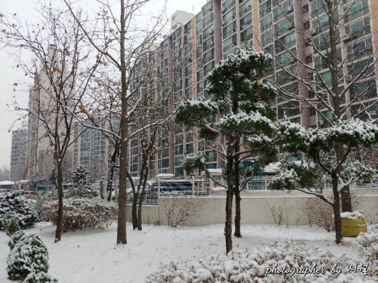  앵무새의 체온 조절