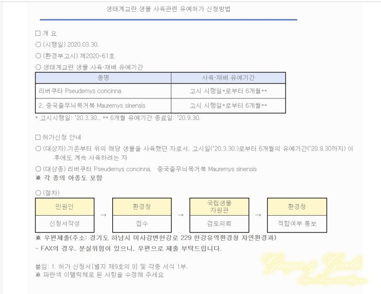  국민 거북 : 리버쿠터 생태계 교란종?! : 환경부 사육 유예 허가 신청 방법 완벽 공개 - 버릴거면 키우지 마세요. 버린 놈이 만든 법