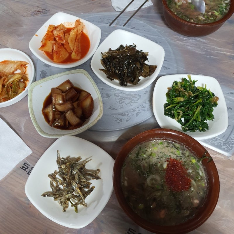 제주 몸국 맛집 가시리 명문가시리식당 / 명문사거리식당