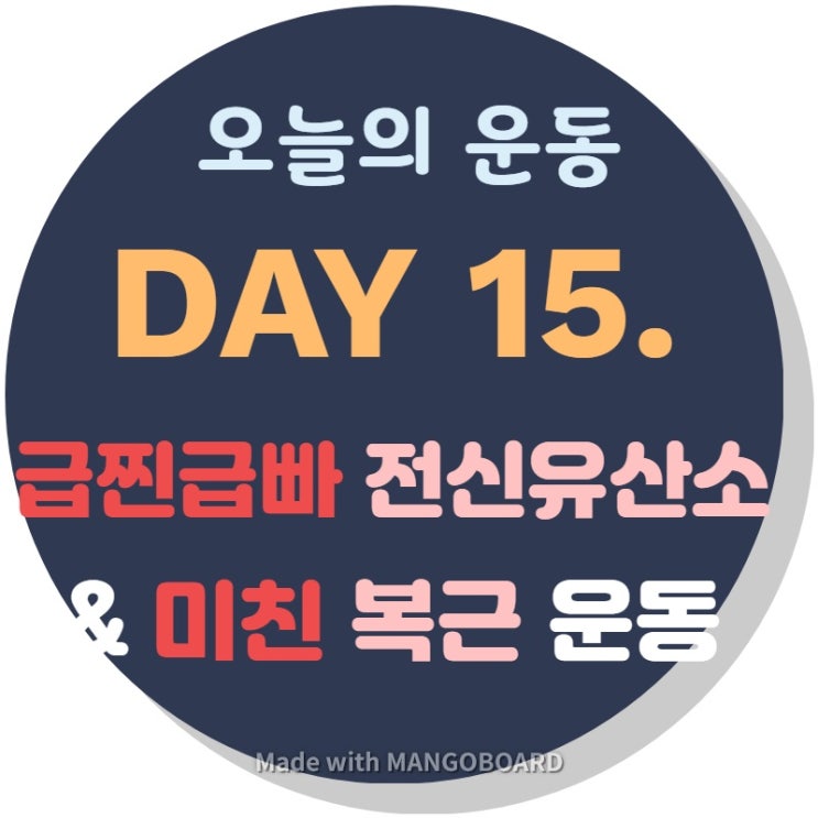  DAY 15. 코로나19 덕분에 홈트(with 전신유산소, 미친복근운동, 플랭크)