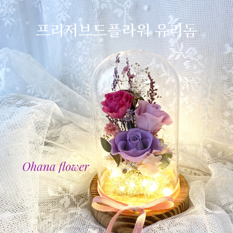  자그마한 유리돔속 시들지 않는 꽃, 여자친구 선물로 인기 만점, 플라워 유리돔  :: 부산 수영 해운대 플라워스튜디오 Ohanaflower