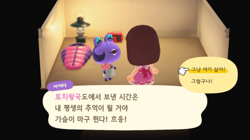 모여봐요 동물의숲 아이다 아미보카드로 데려와요 : 모동숲 : 네이버 블로그 모여봐요 동물의숲 아이다 아미보카드로 데려와요 : 모동숲 : 네이버 블로그