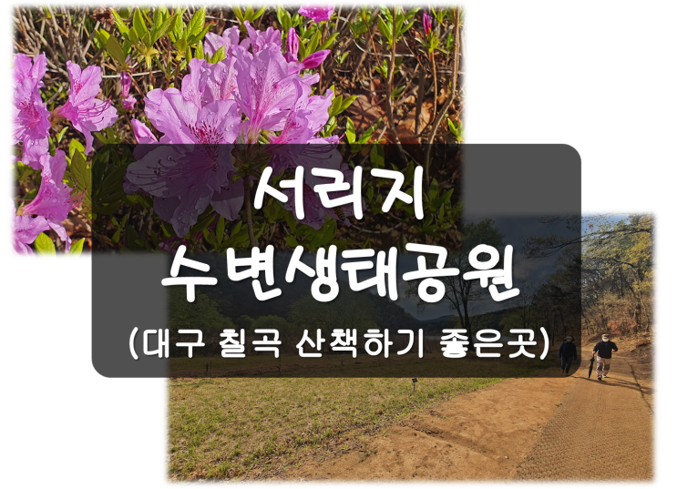 대구 북구 칠곡 산책하기 좋은 서리지수변생태공원