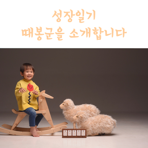  육아일기, 26개월아기 성장일기