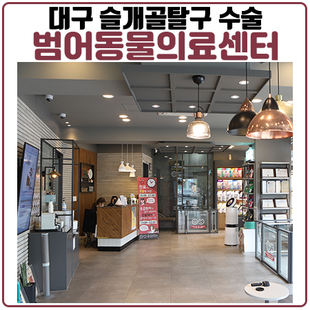 대구동물병원 강아지 슬개골 탈구 수술 전문 24시범어동물의료센터 대구동물병원 강아지 슬개골 탈구 수술 전문 24시범어동물의료센터
