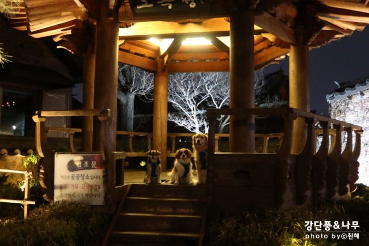  전주 여행 오밤중 한옥마을 산책
