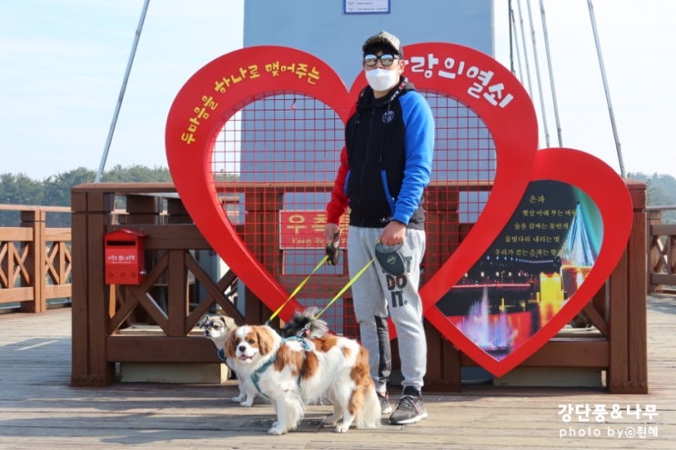  군산 가볼만한곳 은파호수공원 강아지와 나들이