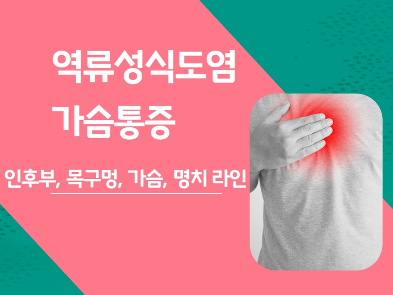 역류성식도염 가슴통증 왜 발생할까요 14