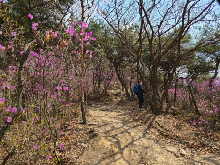  인천 계양산 둘레길 쉬운 코스로 딱 내스타일