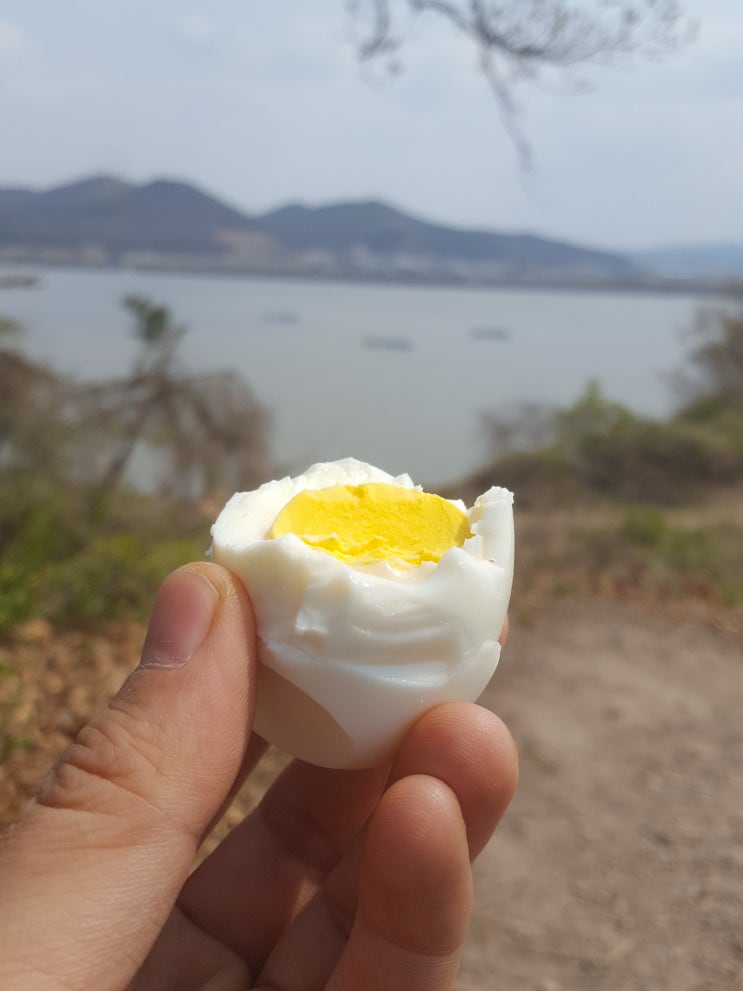 공복에 먹으면 좋은것 / 나뿐것 공복에 먹으면 좋은것 / 나뿐것