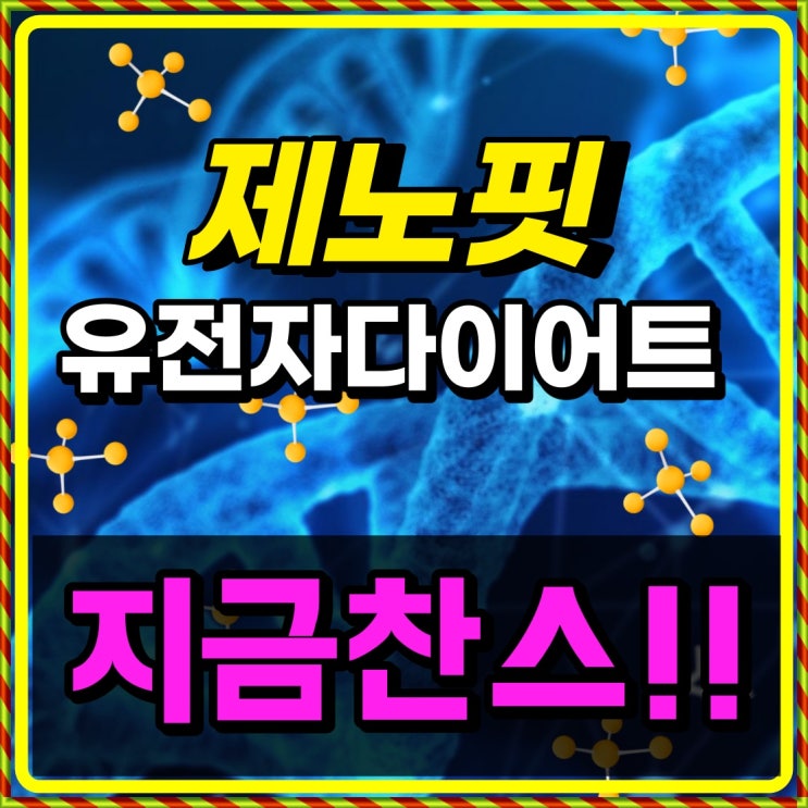  제노핏유전자다이어트 DNA 검사 대박!