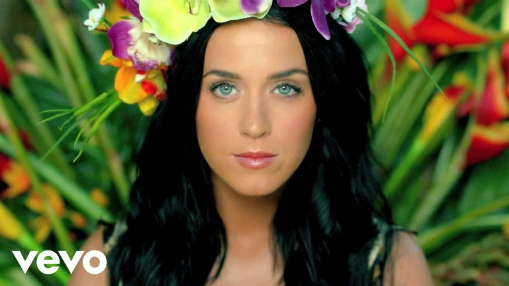  Katy Perry - Roar 가사 해석