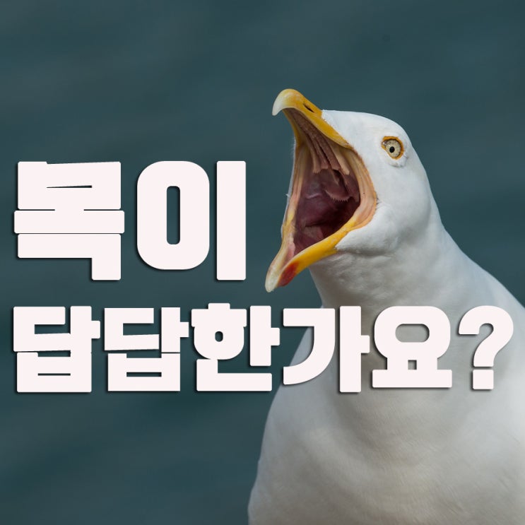  목이 칼칼하고 헛기침을 많이 한다면