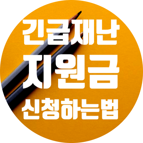긴급재난지원금 신청 하는법과 자격 및 대상 (서울)