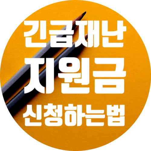  긴급재난지원금 신청 하는법과 자격 및 대상 (서울)