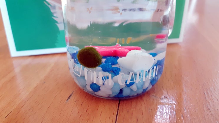미니가든(mini garden) 마리모 키우기 미니가든(mini garden) 마리모 키우기