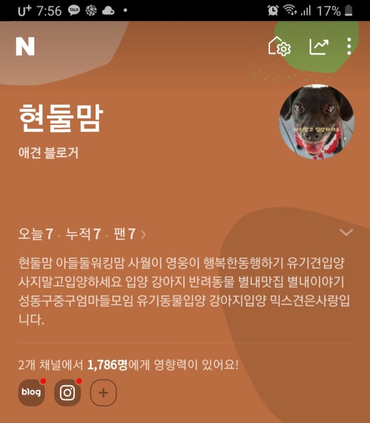 현둘맘도 드뎌 애견 인플루언서가 됐어요. 팬이되어주세요.