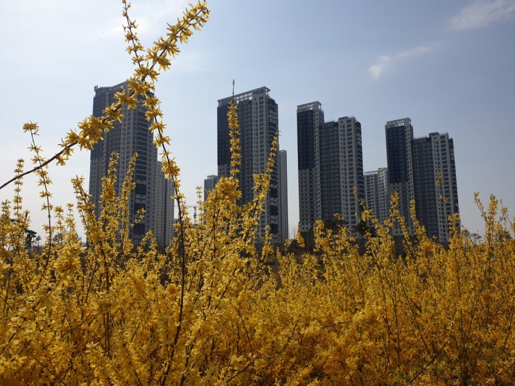 전세자금대출이란 - 주택도시보증공사(HUG)안심전세대출