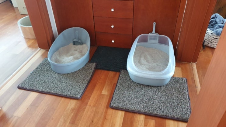  고양이 모래 사막화방지 매트 추천 : 독스 코일매트