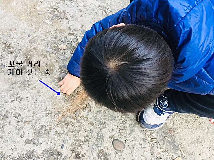  초딩 아들이 식충식물에 빠졌을 때, 엄마의 불편함 5가지
