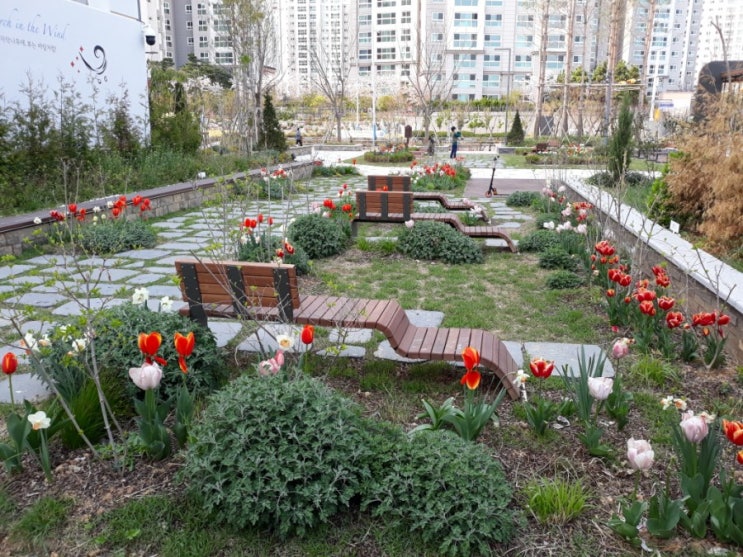  튤립이핀 #명지스타필드