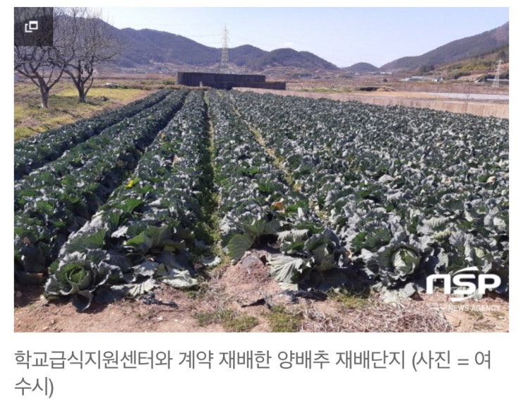  초중고 가정에 농산물 꾸러미 배송 미사용 급식예산 일부로~